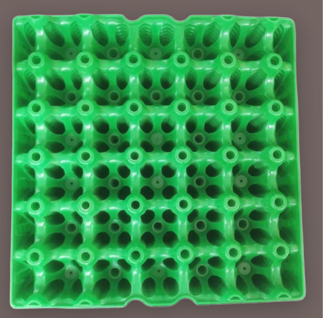 5 PACK Egg Trays