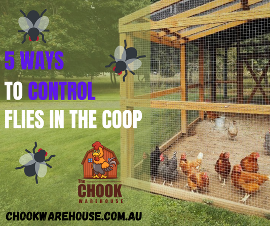 Chook Pests Vermin and pest and predator control – Chook Warehouse