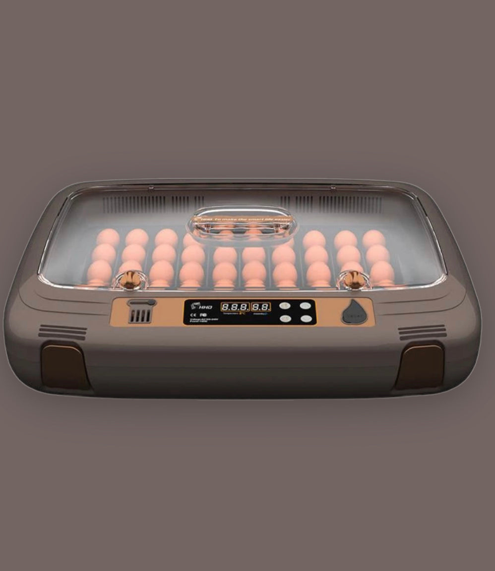 Incubation