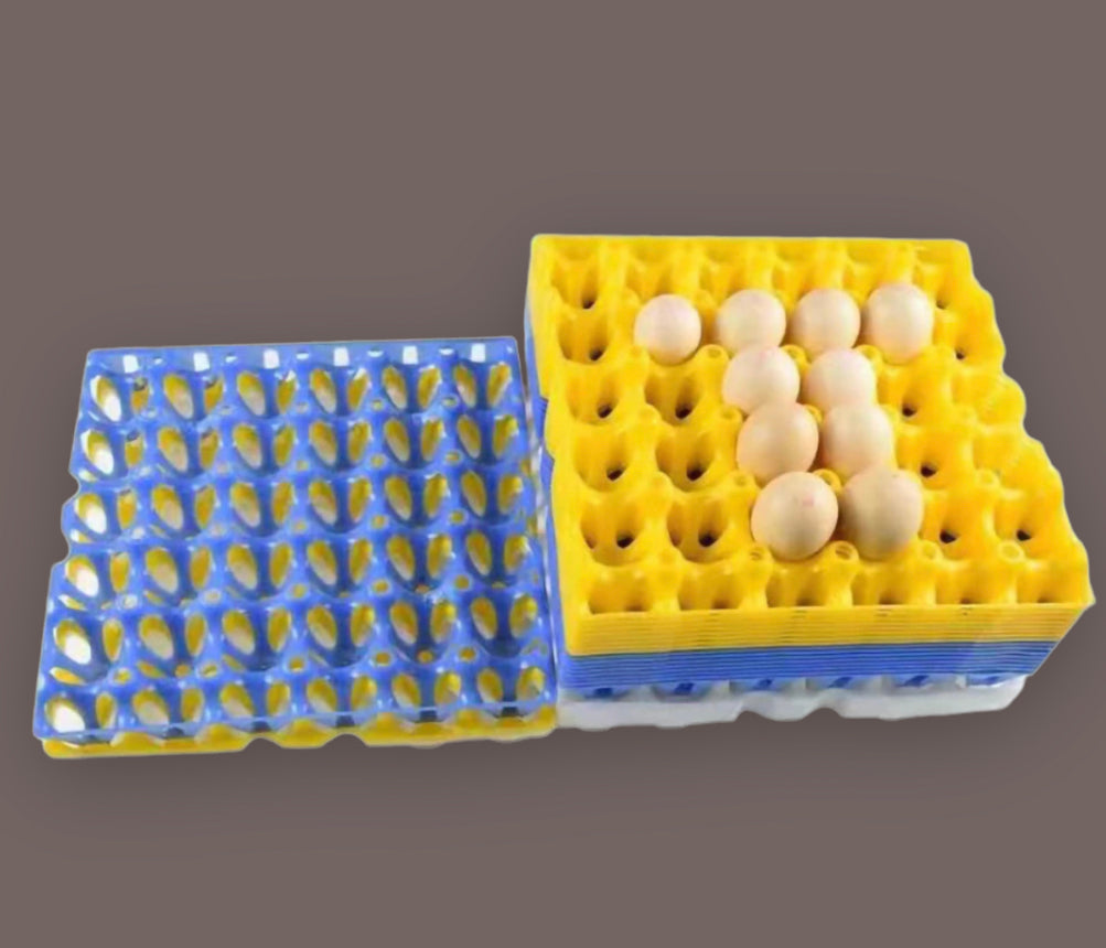 5 PACK Egg Trays