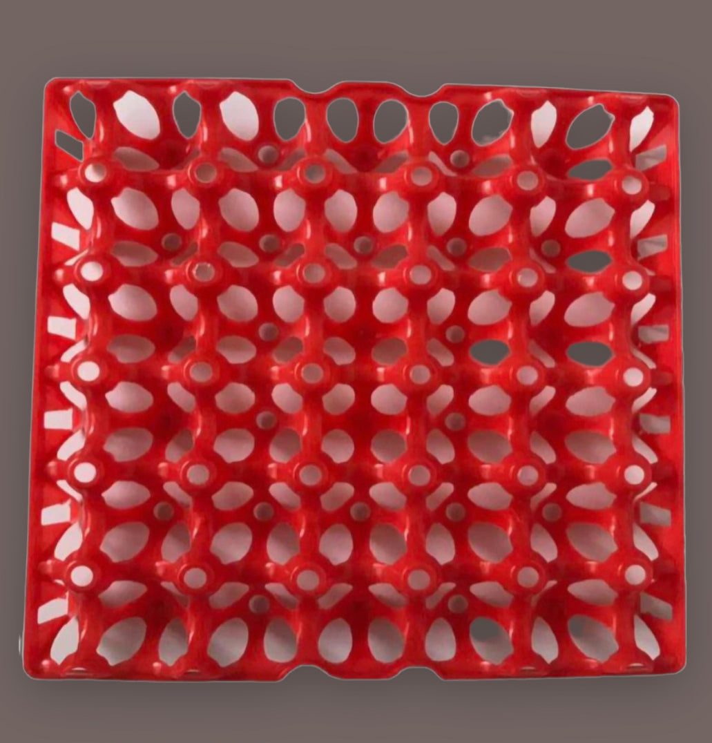 5 PACK Egg Trays