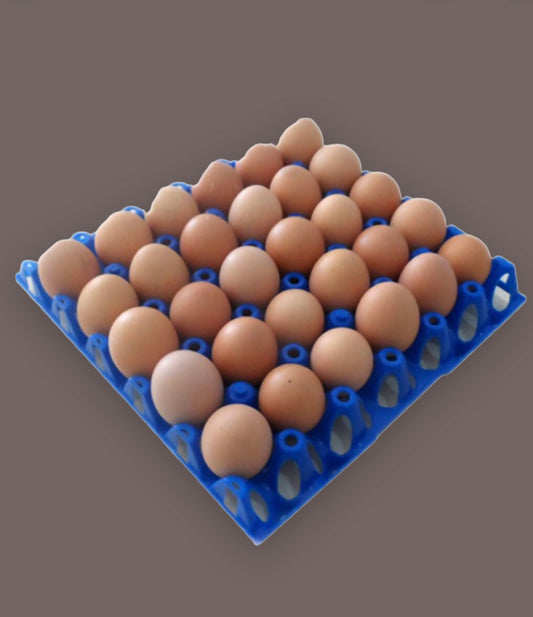 5 PACK Egg Trays